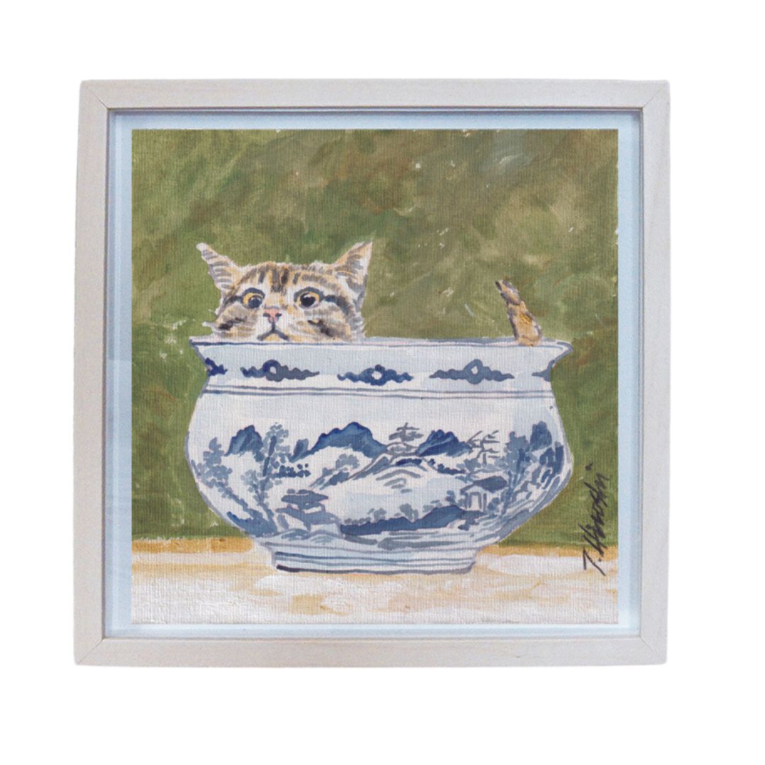 235-cat in pot