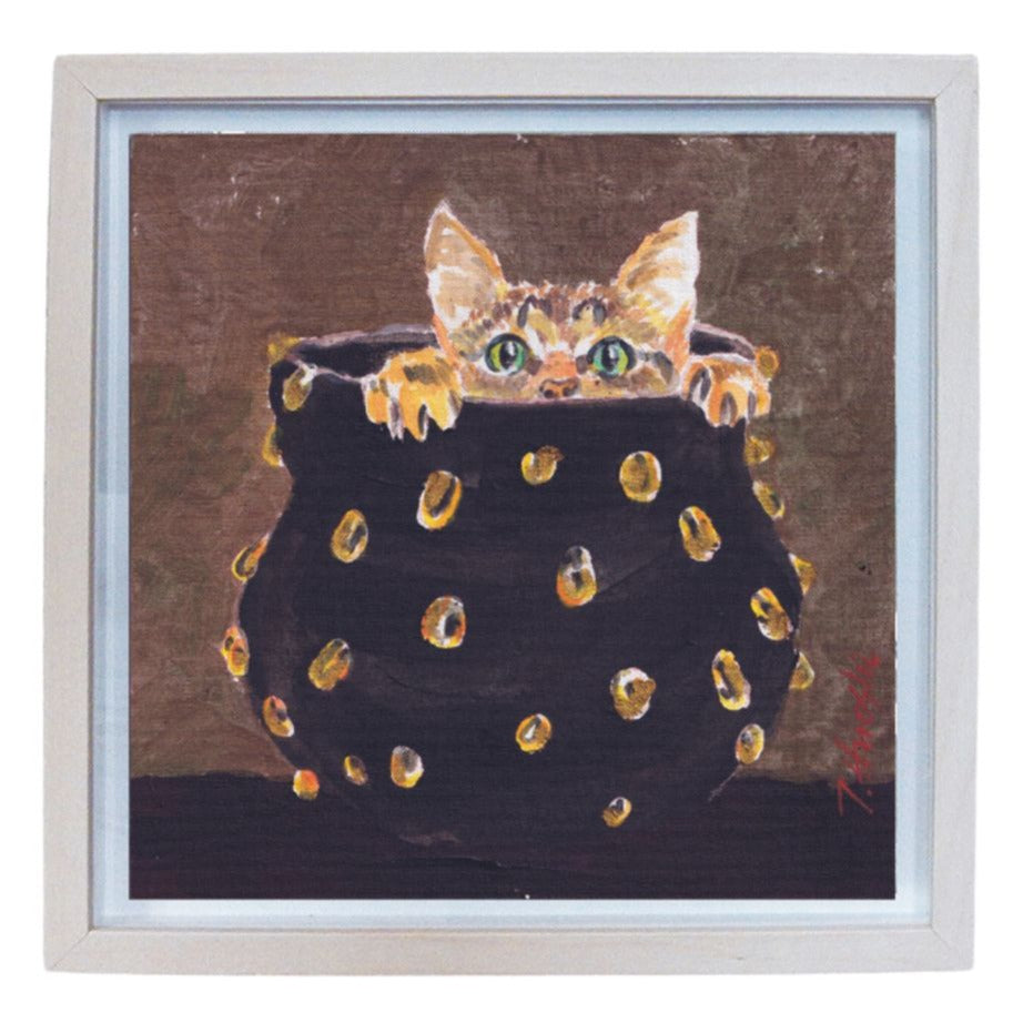 237-cat in pot