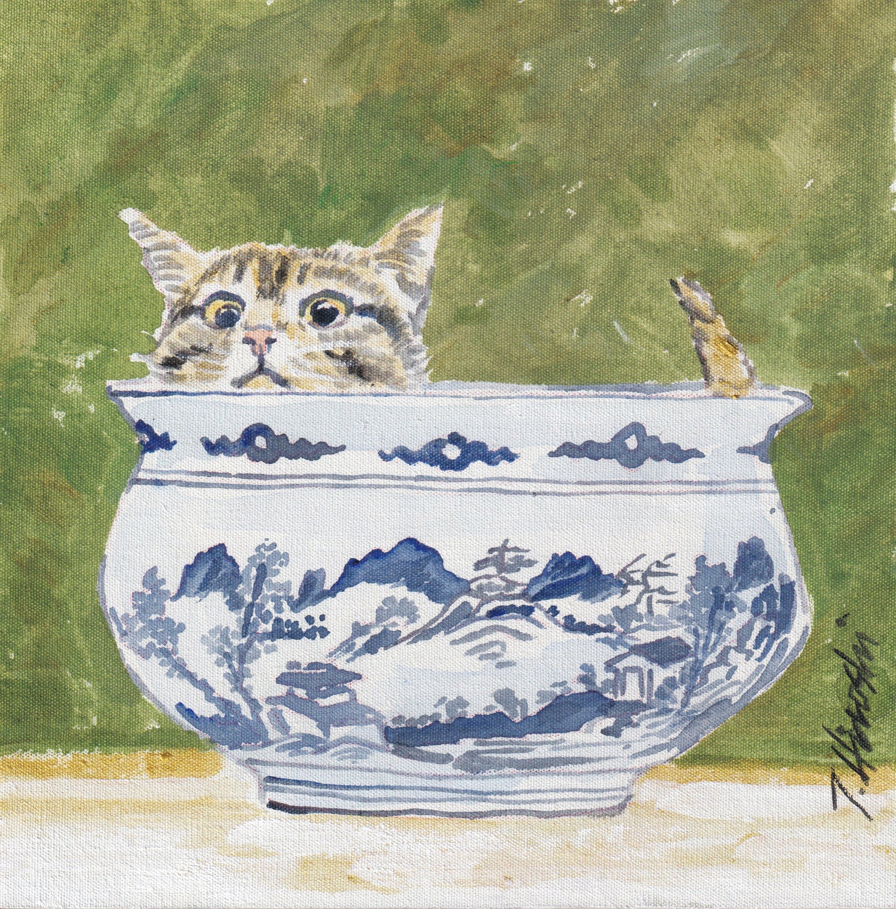 235-cat in pot